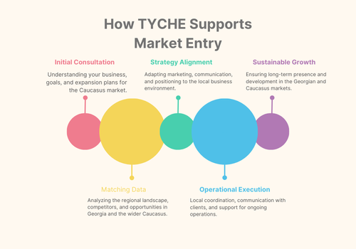 How TYCHE Supports Market Entry